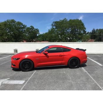 Спойлер за багажник за Ford Mustang  NASCAR Blade