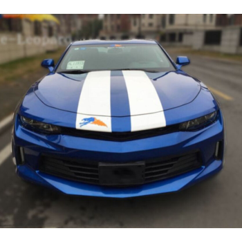 Горна решетка - без емблема за CHEVROLET CAMARO LT/RS