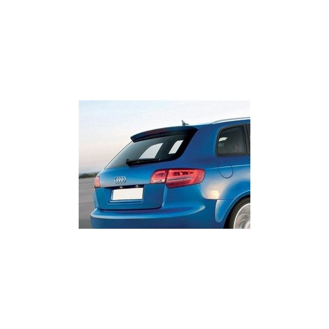 Спойлер Audi A3 8p