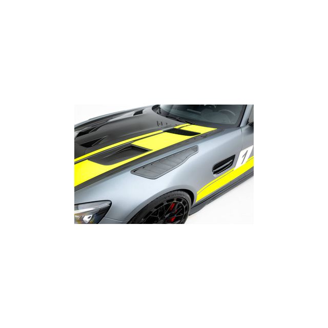 "Prepreg" Карбонови решетки за калник Mercedes-AMG GT C C190 Facelift